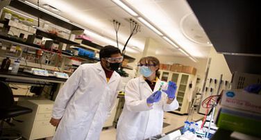 Summer Research Internships (SURI) Program