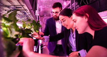 ASU Poly's Vertical Farm