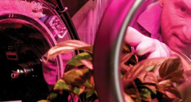 Center for Negative Carbon Emissions