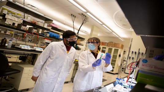 Summer Research Internships (SURI) Program