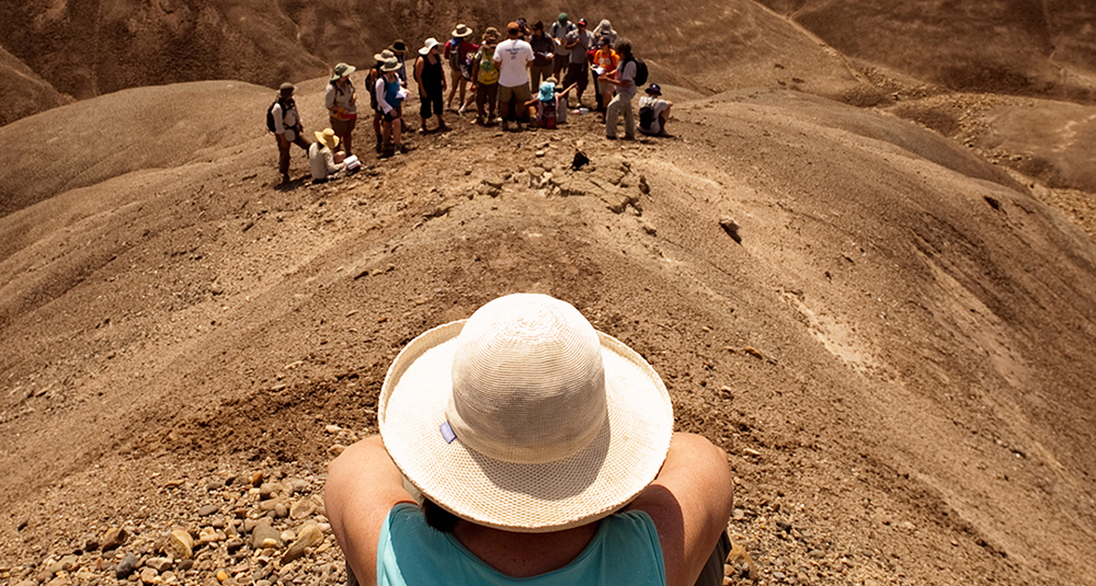 Institute of Human Origins