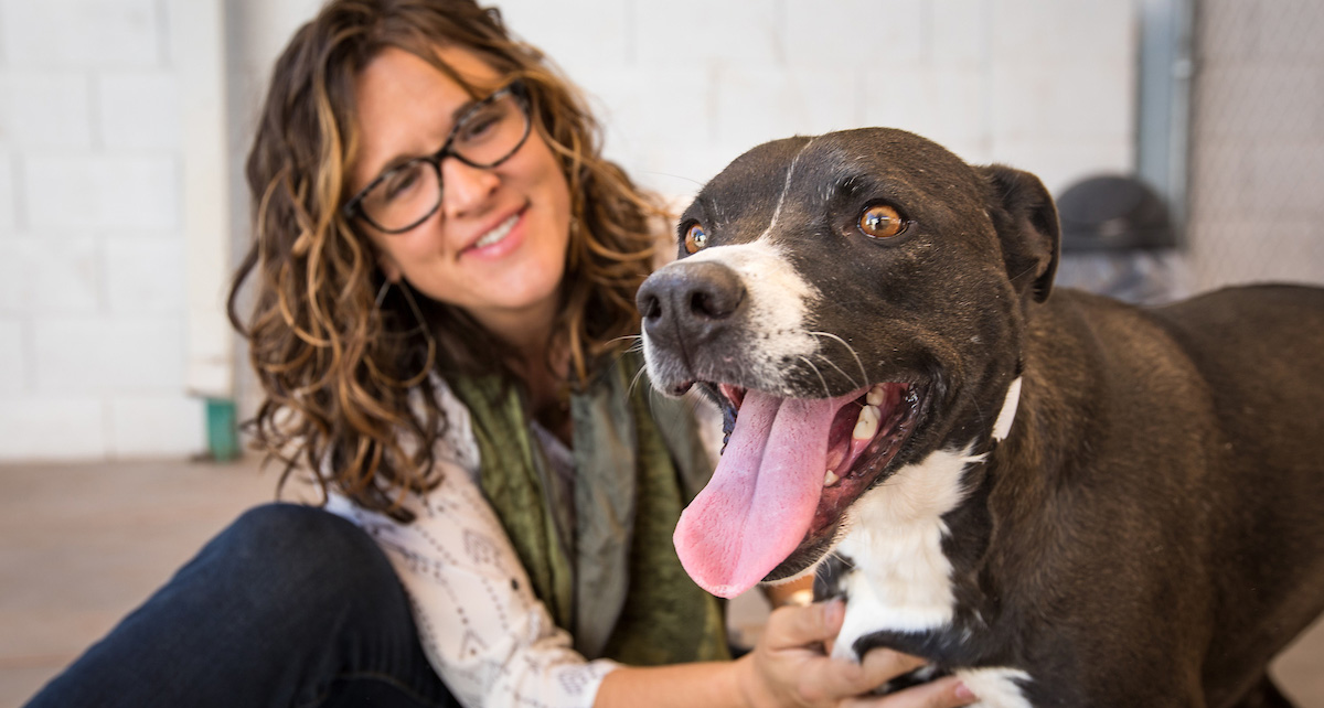 Canine Cognition Research