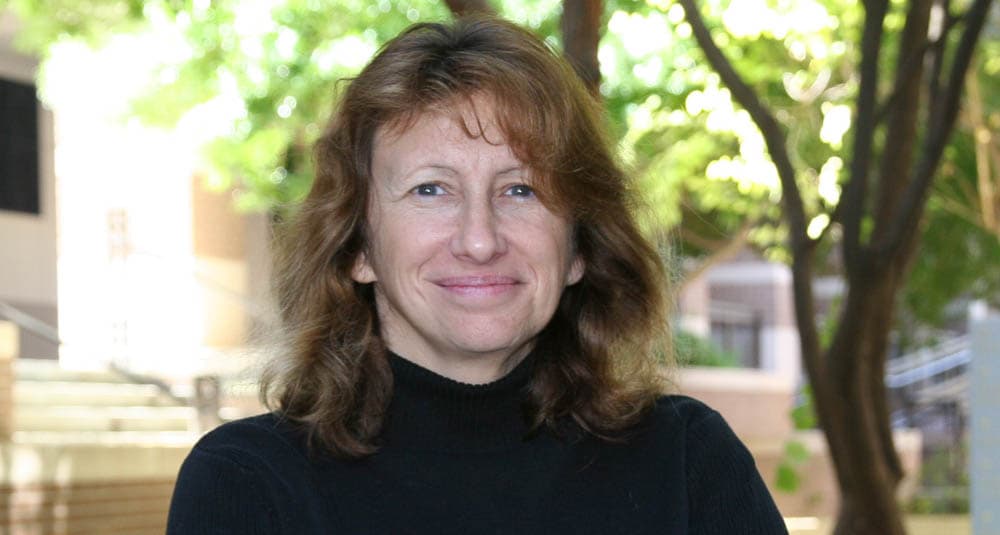 Dr. Connie Borror Achievement Scholarship