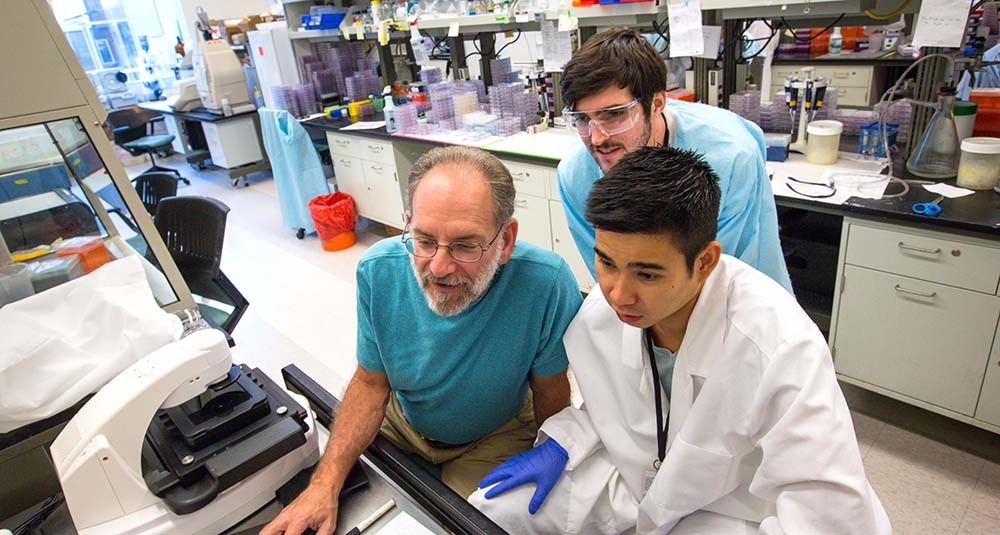 Center for Innovation in Healthy and Resilient Aging (CIHRA)